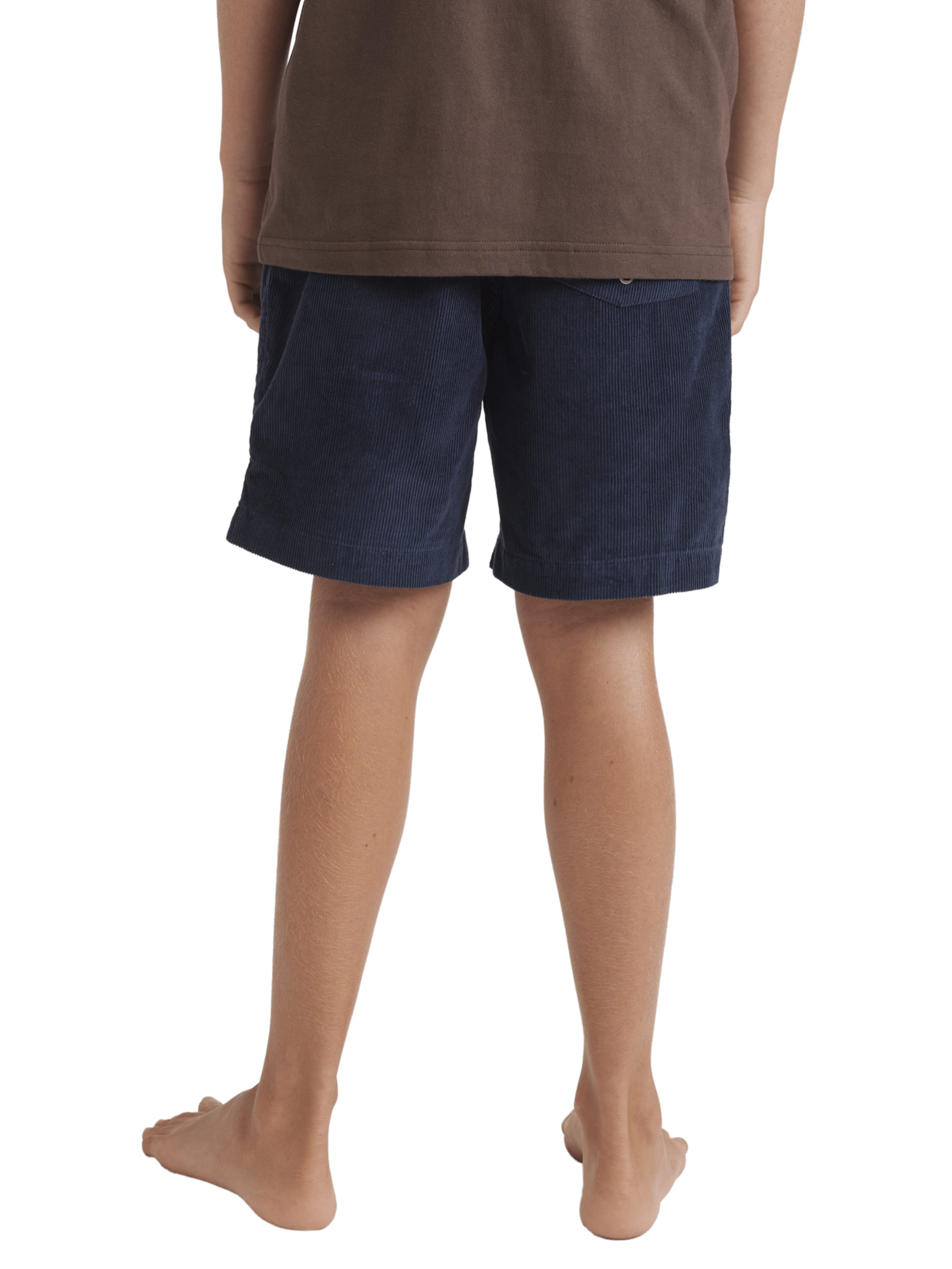 QUIKSILVER Обычные шорты 'Taxer' в цвете Marine Blue — фото 2