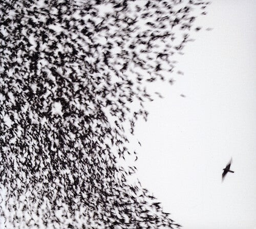 

CD диск Wilco: Sky Blue Sky