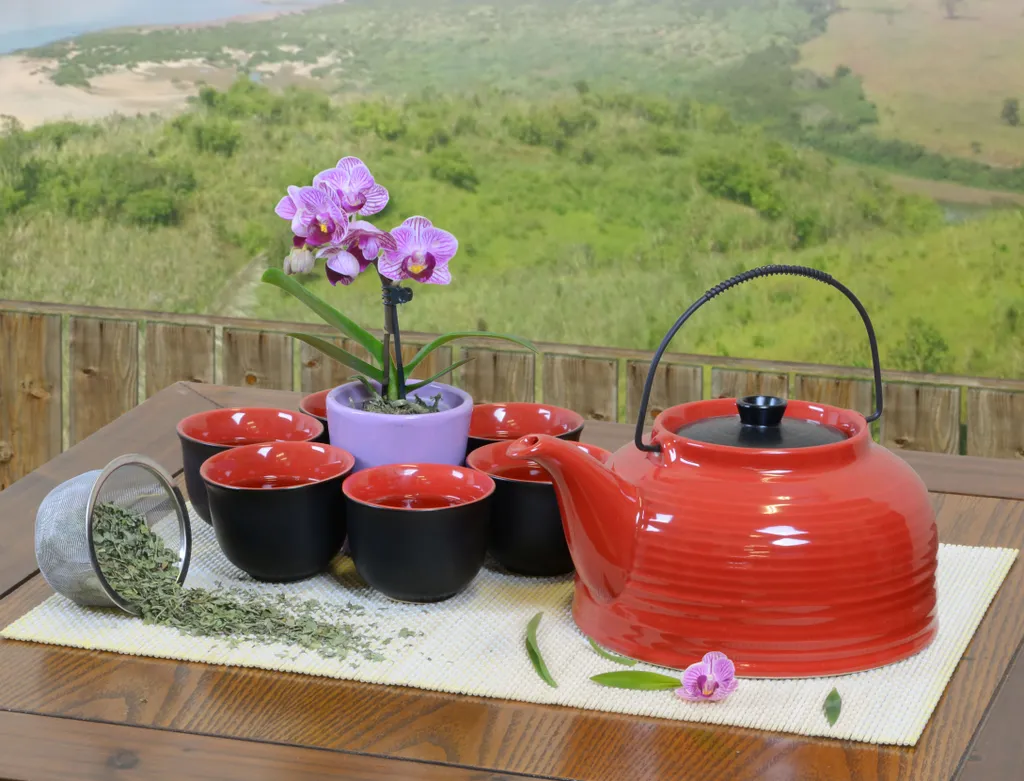 

Чайный сервиз Tea & home e.U., красный