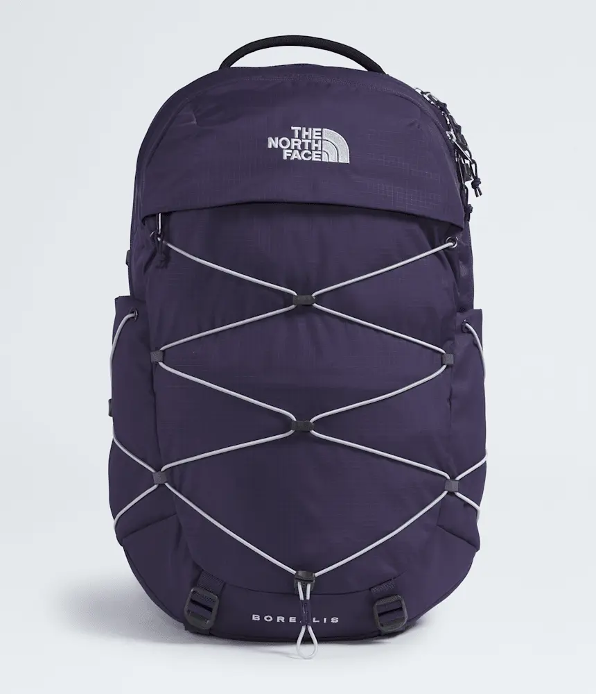 

Женский рюкзак Borealis The North Face, Eternal Purple/Blue Flax