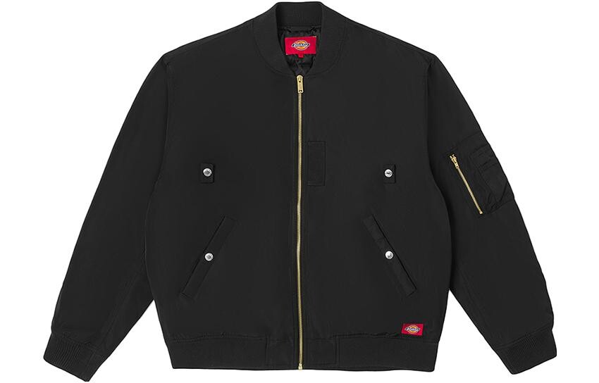 

Стеганая куртка унисекс Dickies, цвет Black/CC2