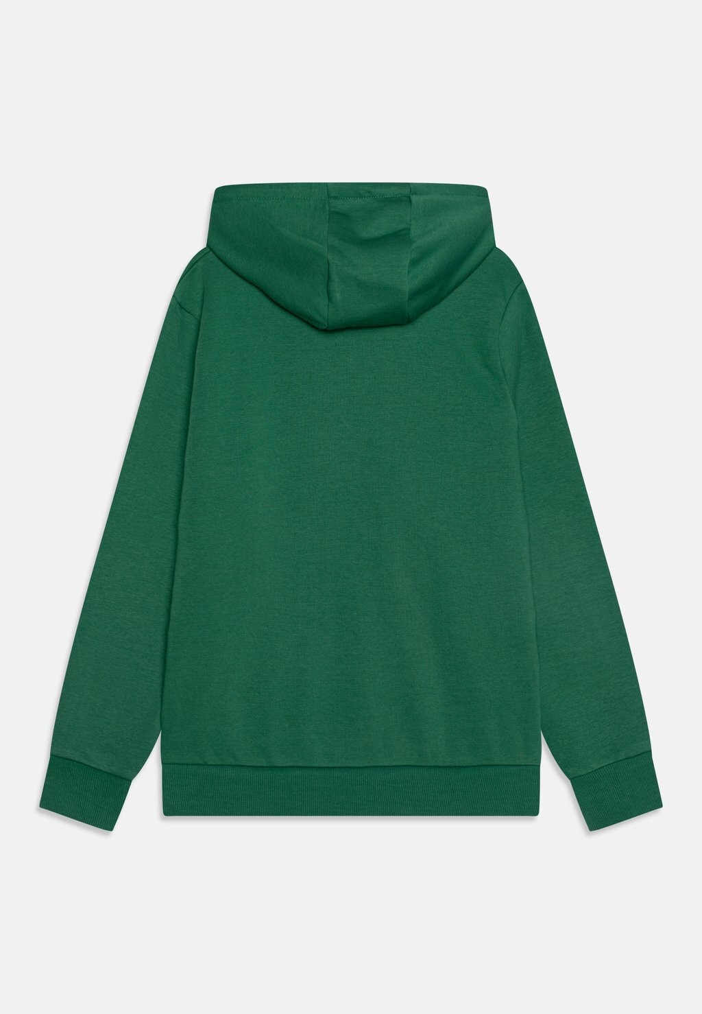 

Толстовка с капюшоном OTTERNERE JNR Ellesse, зеленый
