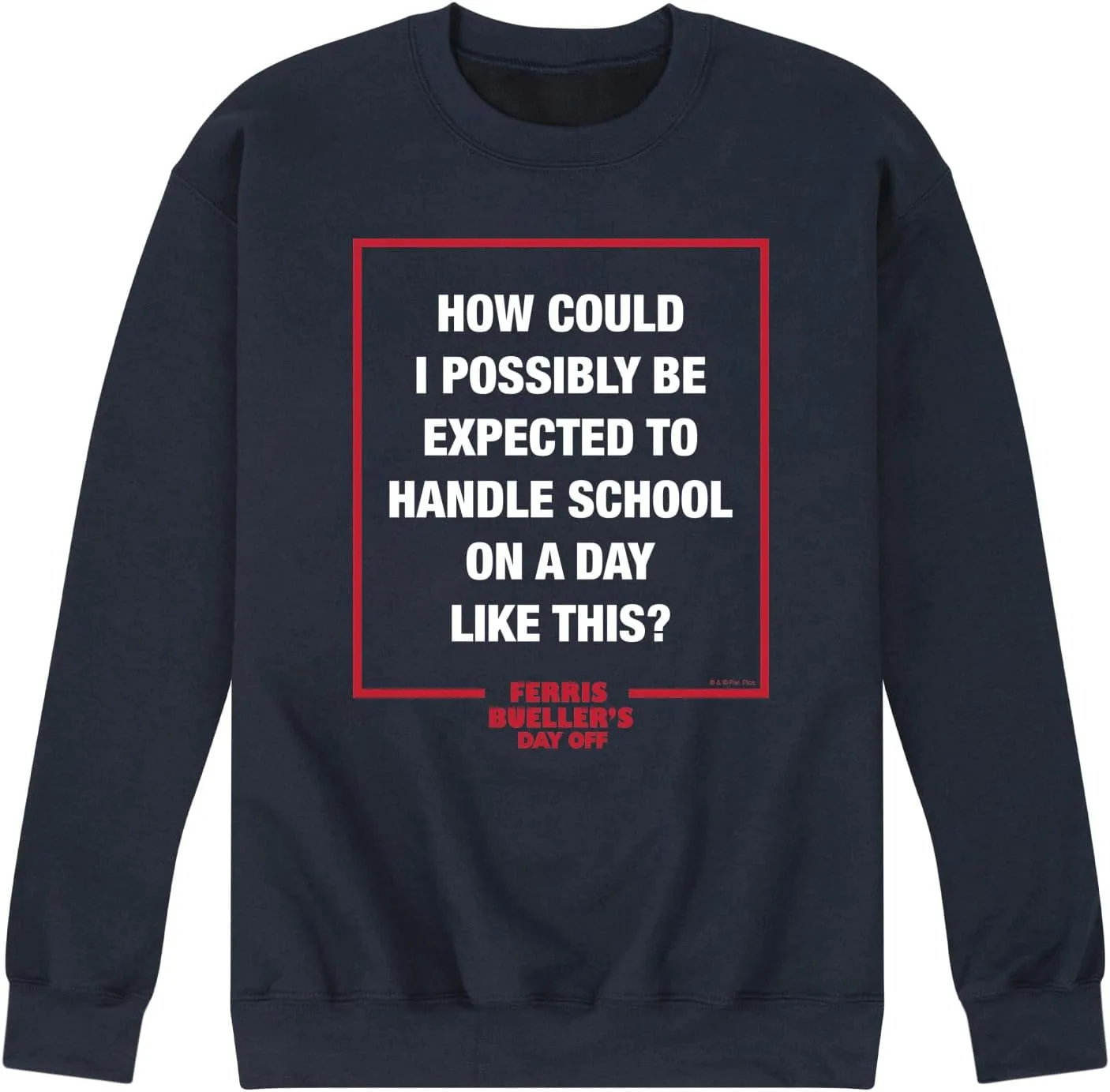 

Мужская флисовая толстовка HYBRID APPAREL с принтом Ferris Bueller's Day Off