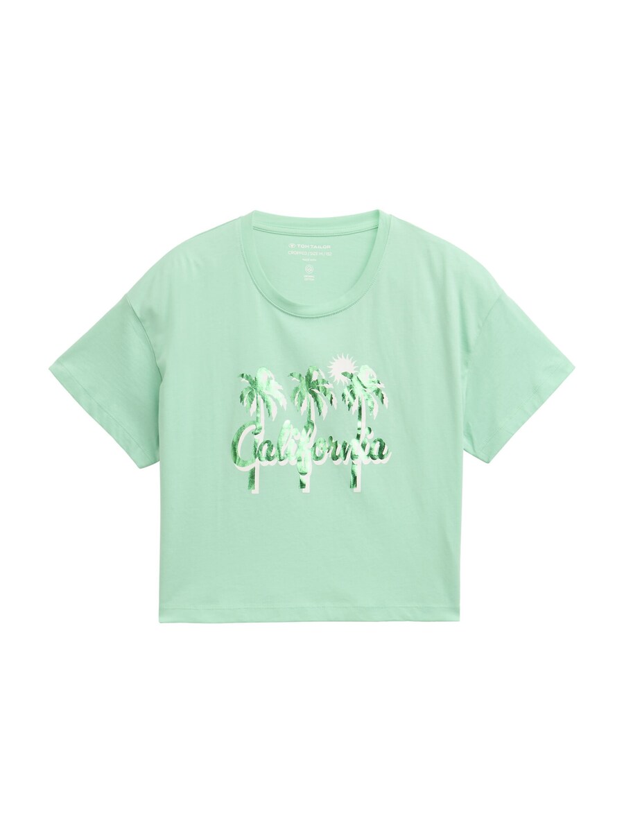 

Рубашка TOM TAILOR, цвет Mint/Fir
