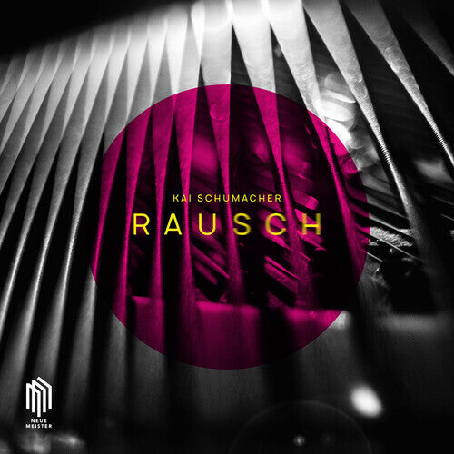 

CD диск Schumacher: Rausch