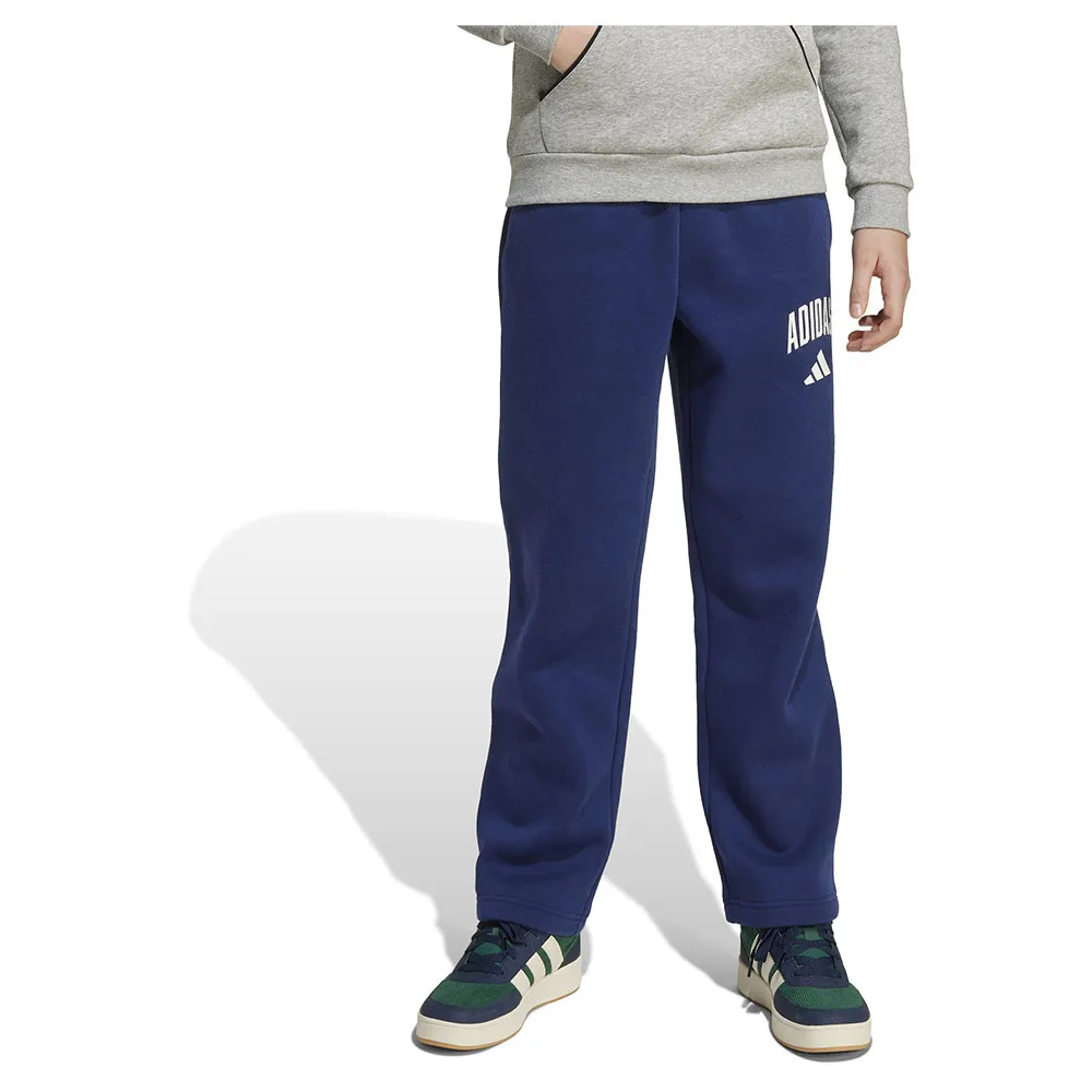 

Брюки adidas Seasonals Essentials Collegiate Typography, синий