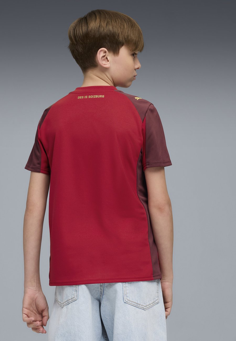 Футболка Puma Print T-shirt, Dark Cherry-Metallic Gold/Red — фото 3