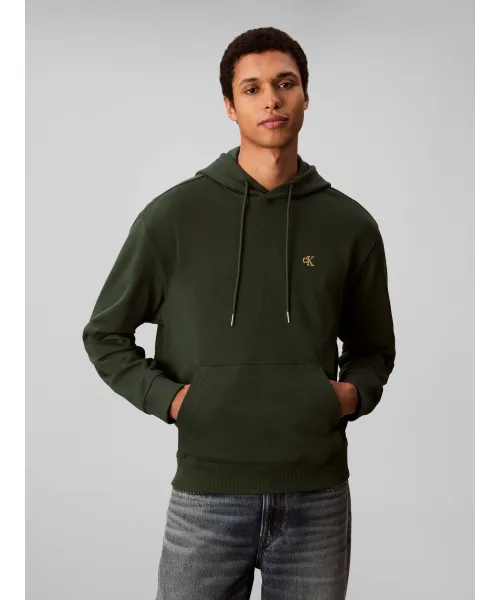 

Толстовка 350terry Regular fit Calvin Klein Jeans, зеленый