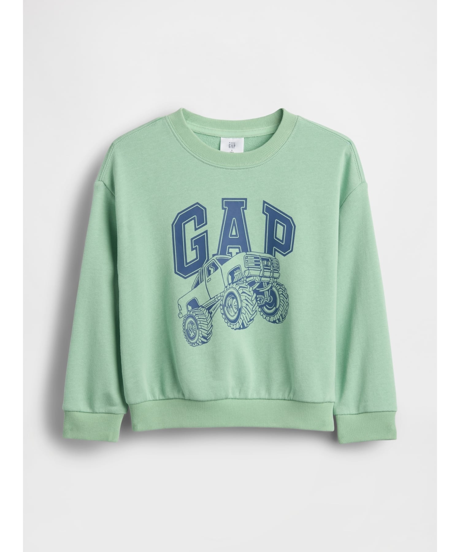 (K)babyGap Толстовка свободного кроя из французской махровой ткани с графическим принтом GAP, ENDIVE
