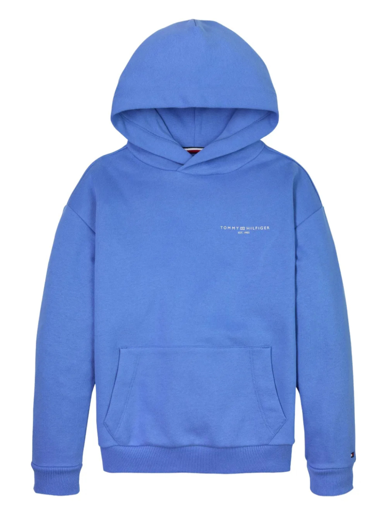 

Толстовка с капюшоном Tommy Hilfiger Junior Signature-logo, синий