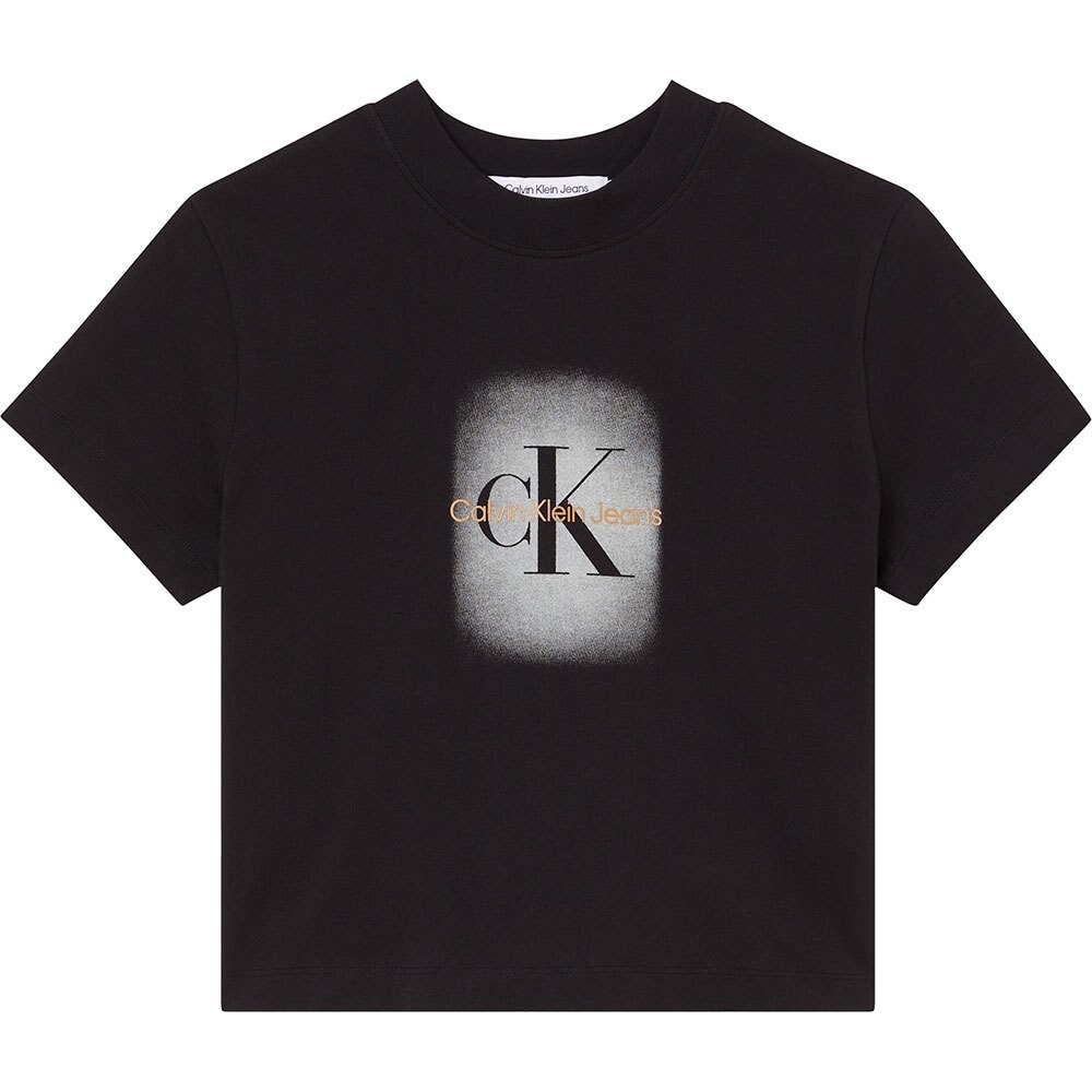 

Футболка Calvin Klein Jeans Spray Monologo Baby, черный