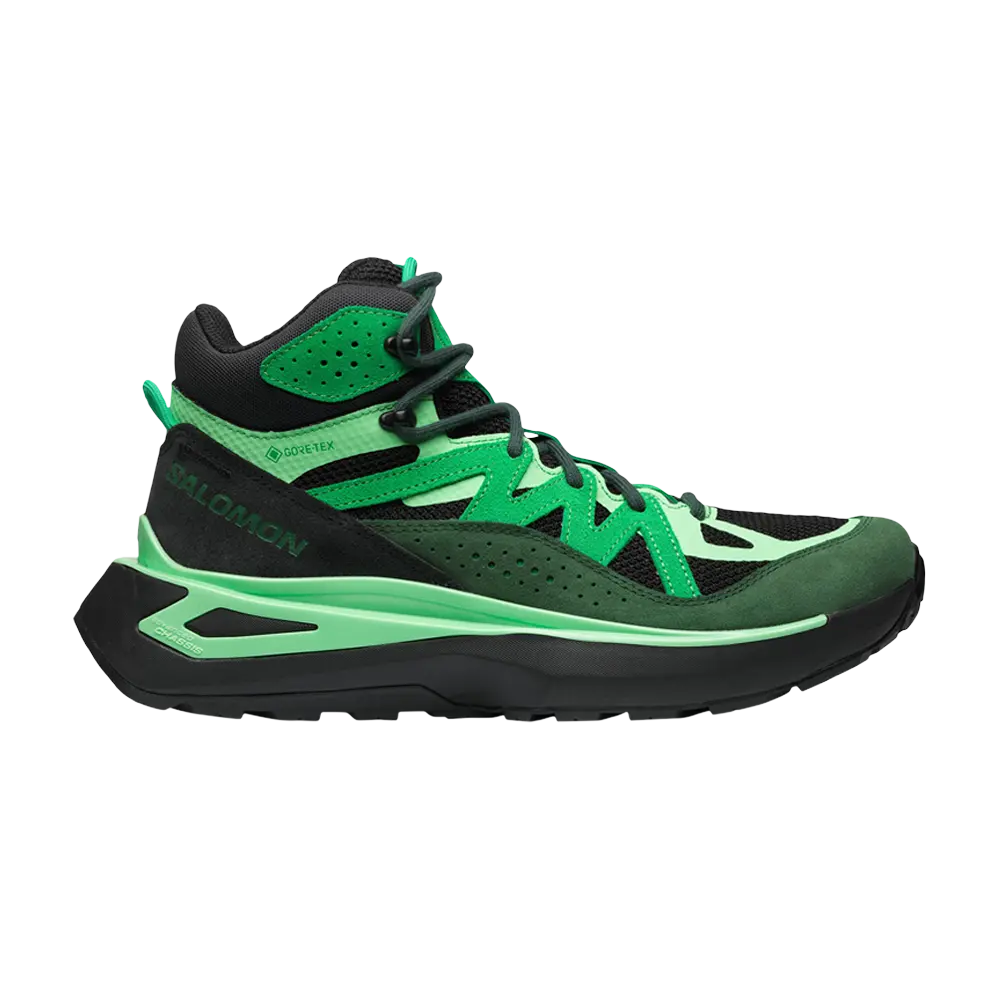 

Кроссовки Odyssey ELMT Mid GORE-TEX Salomon, зеленый