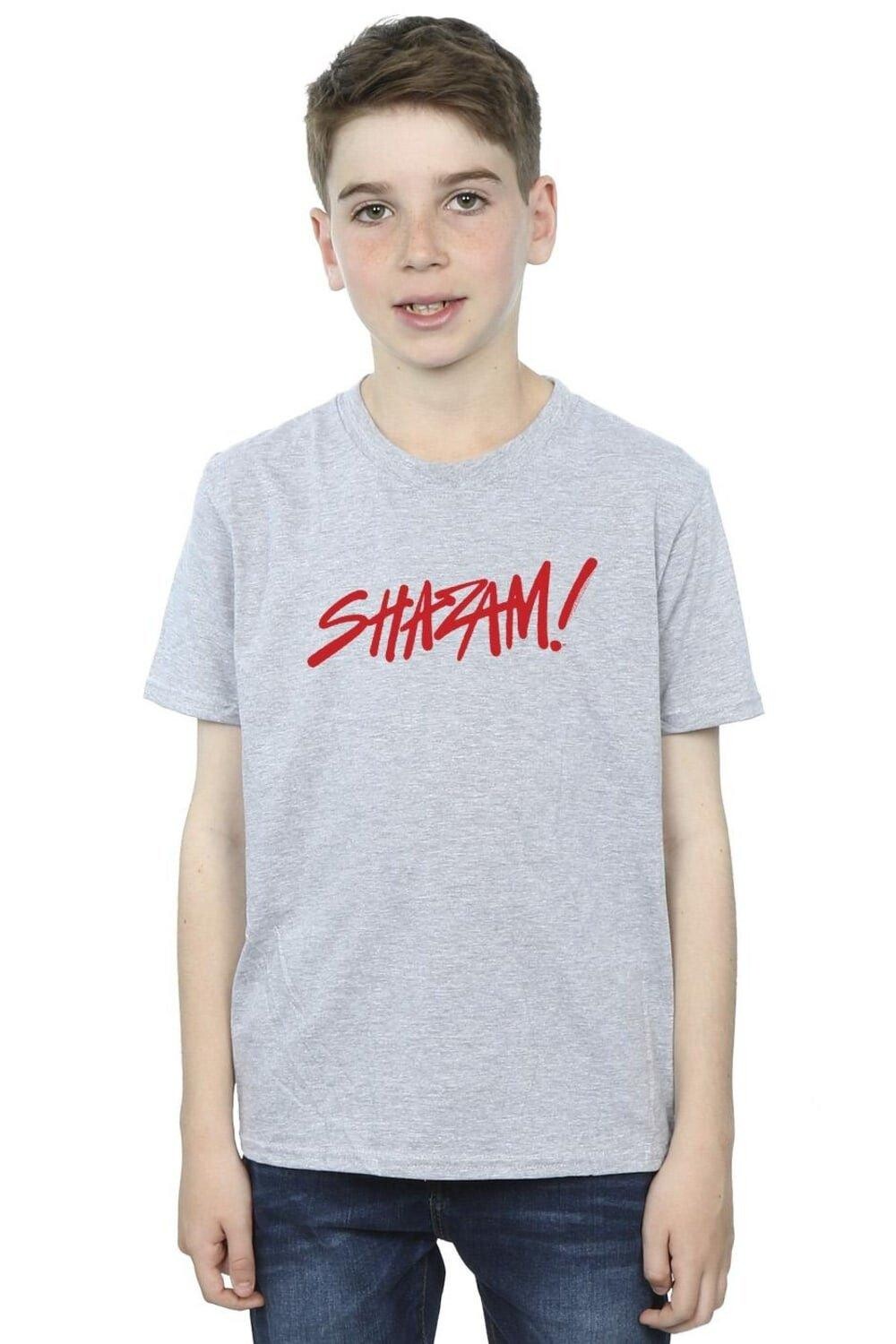

Футболка с логотипом Shazam Fury Of The Gods в виде аэрозольной краски DC Comics, серый