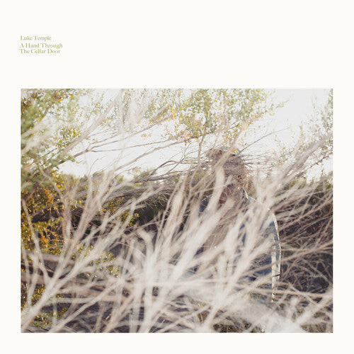

Виниловая пластинка Temple, Luke: A Hand Through The Cellar Door