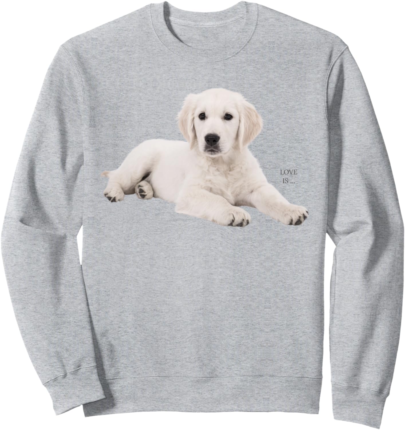 

Толстовка с белым лабрадором-ретривером, толстовка с желтым лабрадором для мамы и папы Labrador Retriever Shirts And Gifts, Желтый, Толстовка с белым лабрадором-ретривером, толстовка с желтым лабрадором для мамы и папы Labrador Retriever Shirts And Gifts