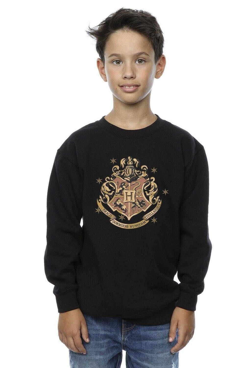 

Золотая толстовка с гербом Хогвартса Harry Potter, черный