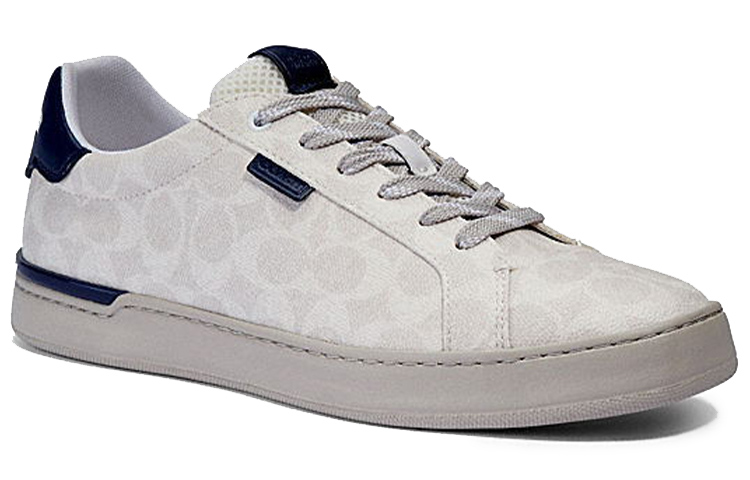 CitySole Lowline Низкие Стильные Скейтбординг Кроссовки Мужские Серо-Голубые COACH — фото 3