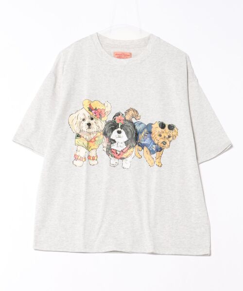 

Футболка с принтом CORISCO, бежевый