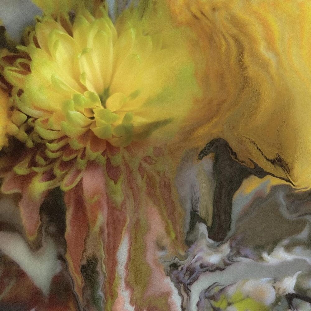 

Виниловая пластинка LP Wilderness Within You - Parker Millsap