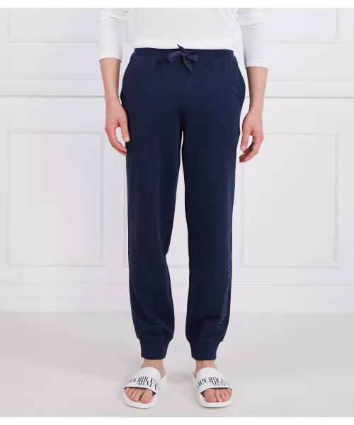 

Спортивные штаны Regular fit Emporio Armani, синий