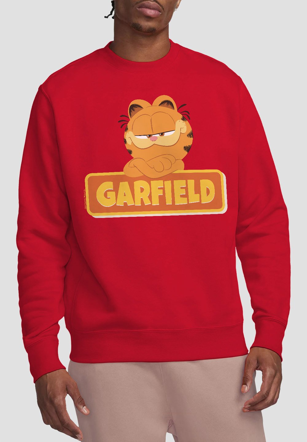

Толстовка GARFIELD MOVIE LOGO Cotton Soul, красный