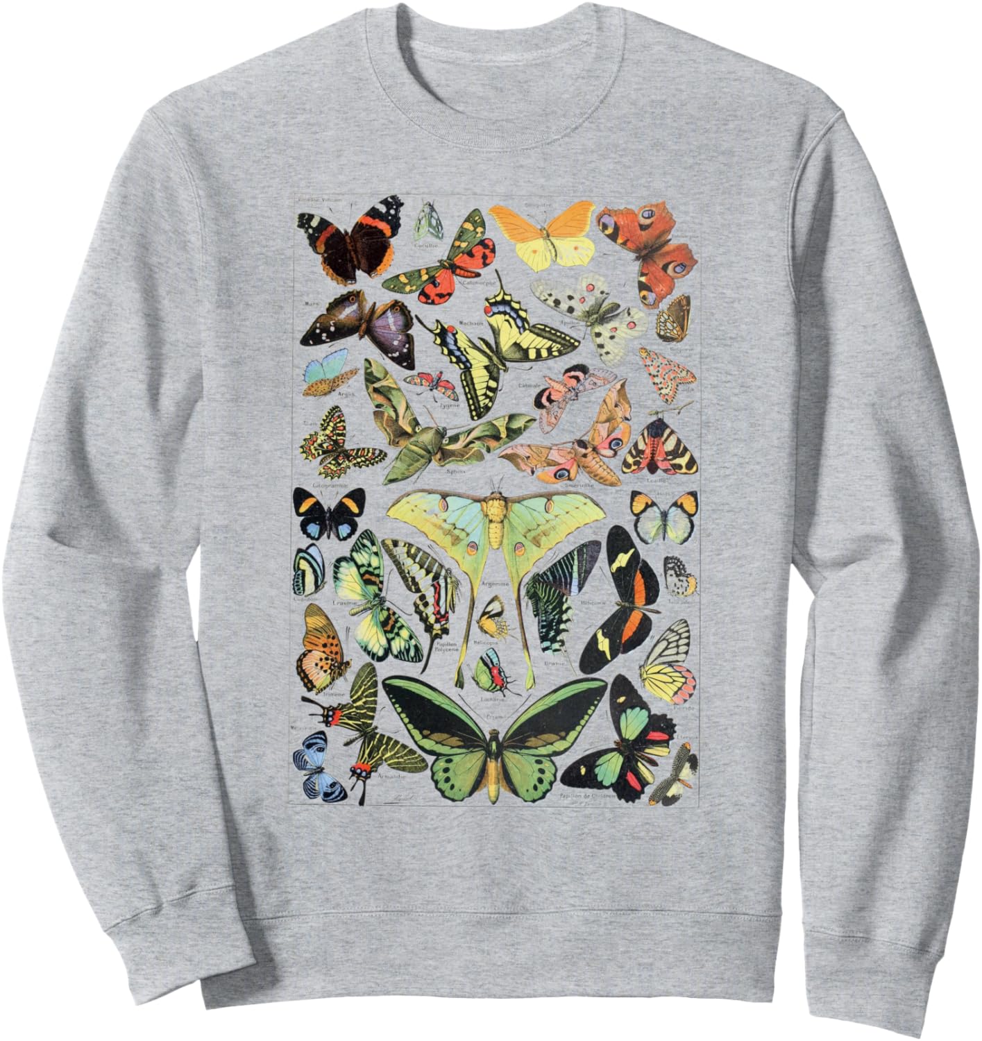 

Винтажная толстовка с научной тематикой и изображением бабочек Scientific Entomology Butterfly, серый
