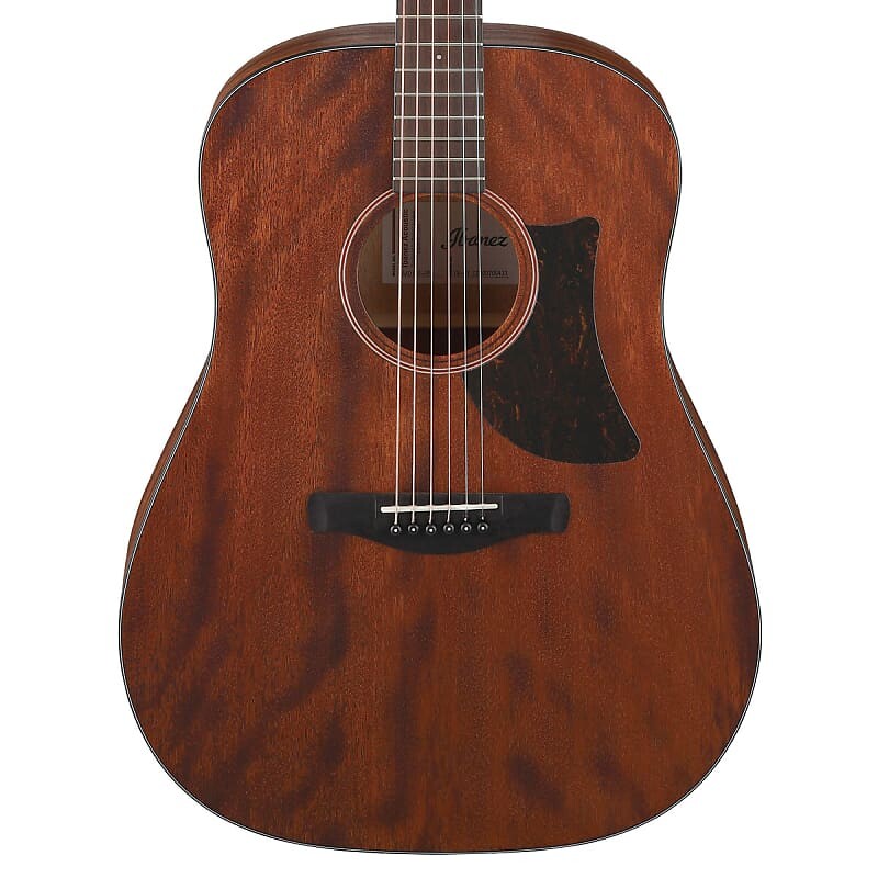 

Акустическая гитара Ibanez AAD140 - Open Pore Natural