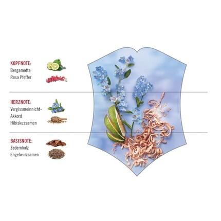 Туалетная вода для женщин Victorinox Forget Me Not с гибискусом и кедром 100мл — фото 2