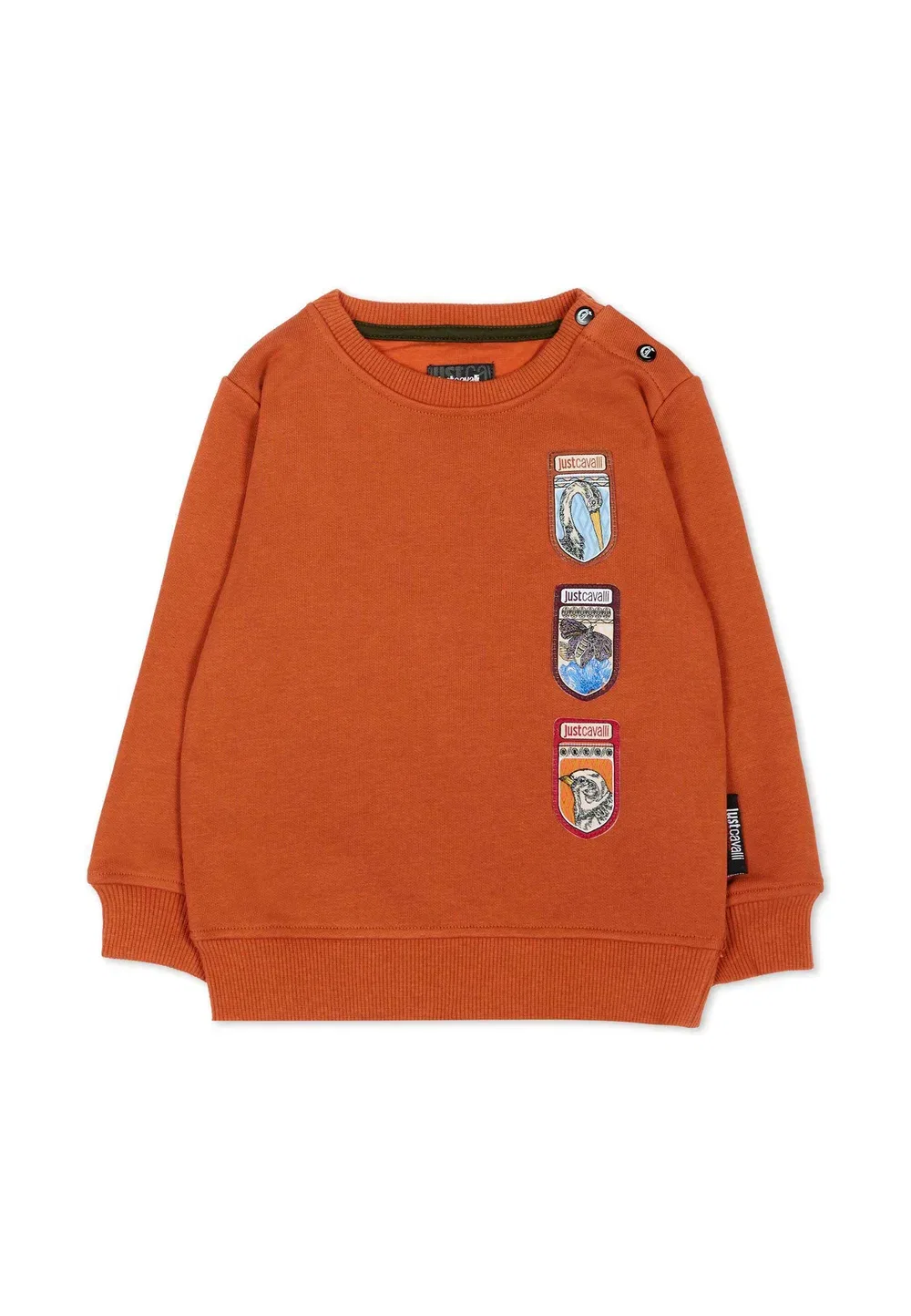 Фелпа - толстовка Just Cavalli, Orange