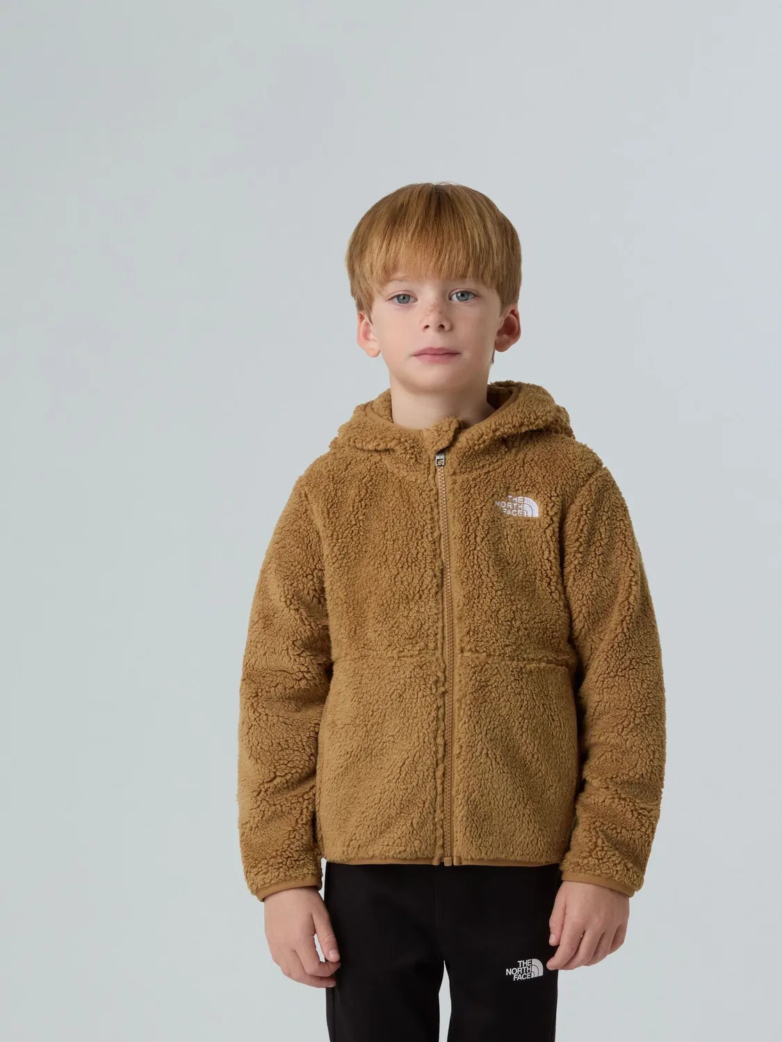 Толстовка на молнии, флисовая, Campshire The North Face, коричневый
