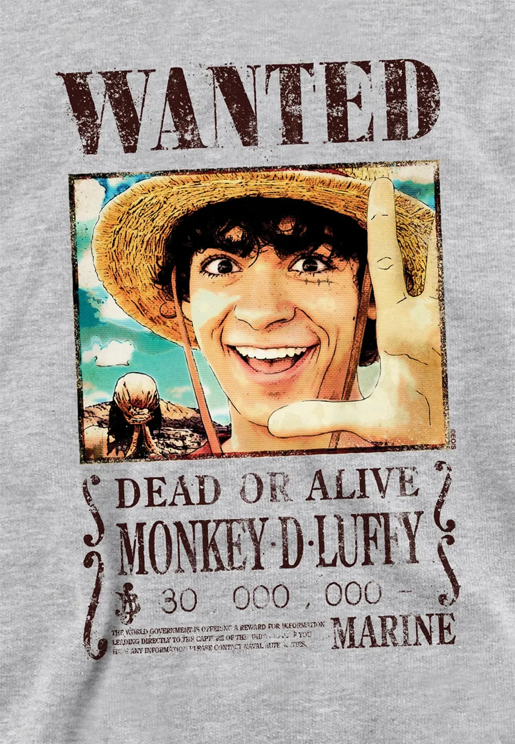 Детское худи с принтом Luffy Wanted Poster One Piece, Grey — фото 2