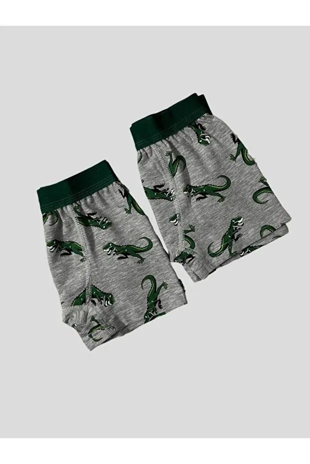 Детские боксеры для мальчиков с принтом Dinosaur Elmas Kids, Gray