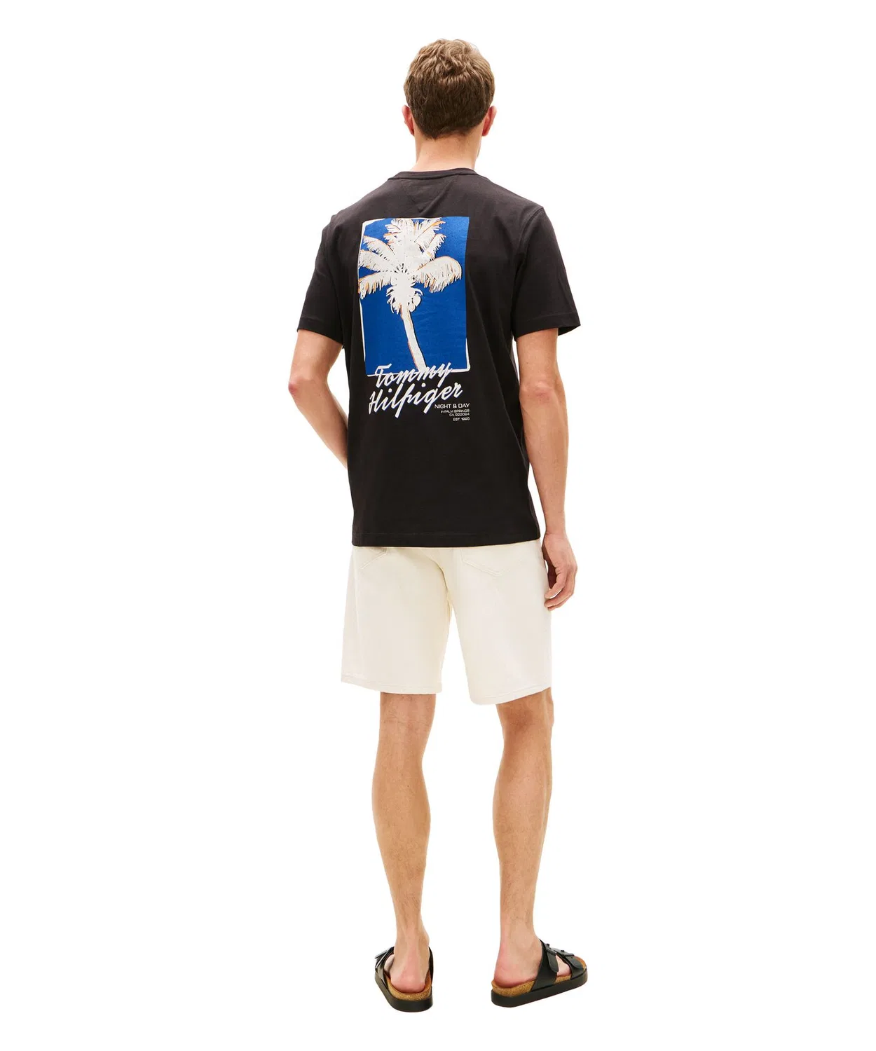 Мужская футболка с принтом Palm Photo Print Short Sleeve TOMMY HILFIGER, Green — фото 4