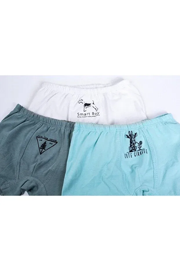 Детское белье для мальчиков с принтом боксеры Coco & Bamboo, Green/White/Turquoise
