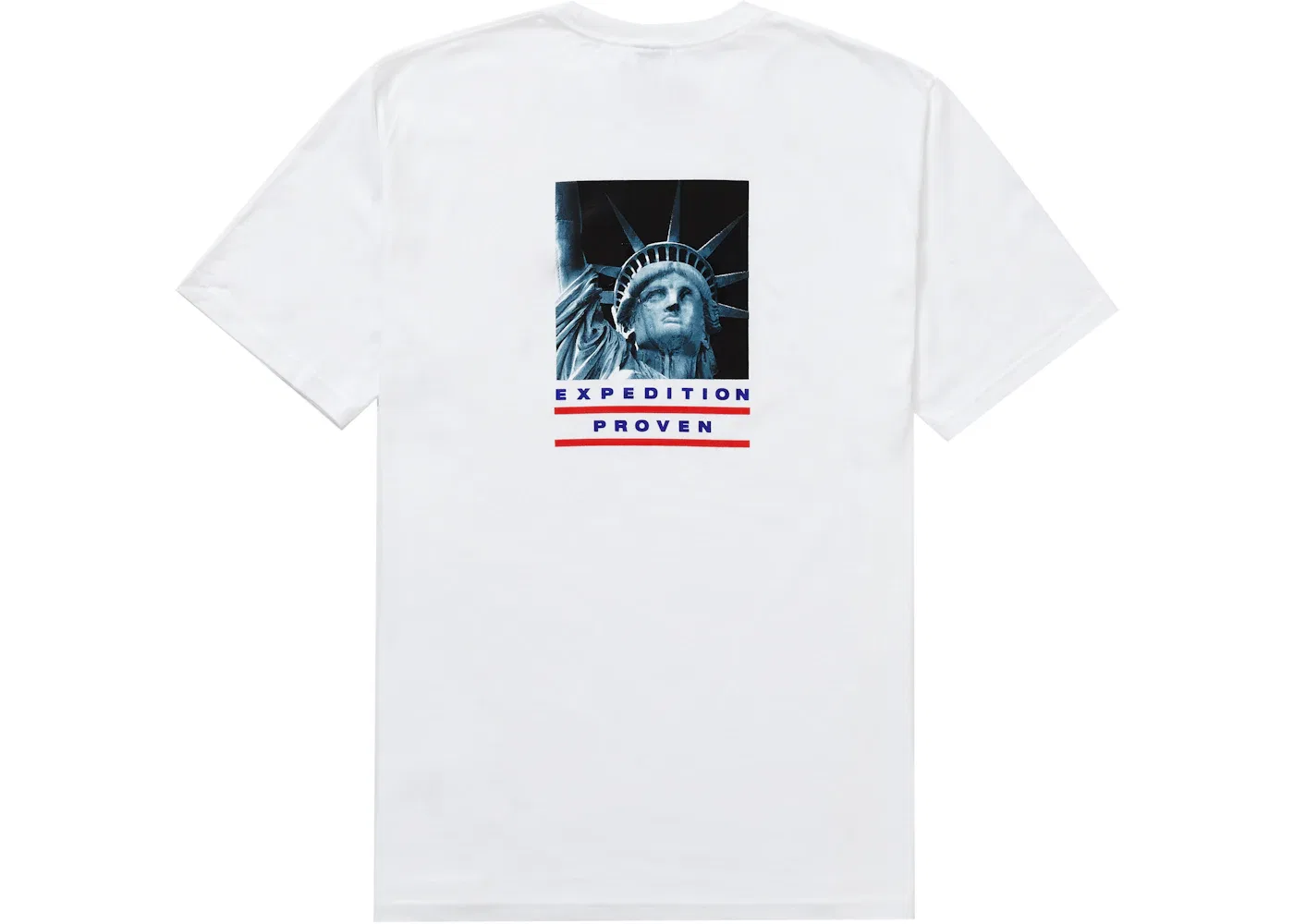 Мужская футболка с принтом Statue of Liberty Supreme The North Face, White — фото 2