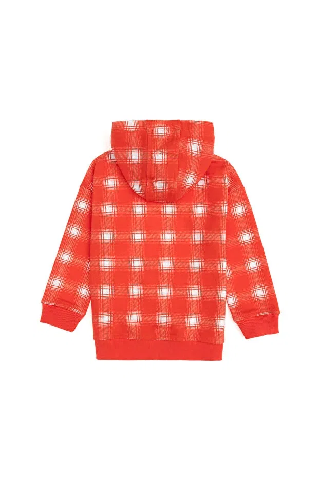 Детские свитшот для девочек с капюшоном U.S. Polo Assn., Pomegranate Blossom — фото 4
