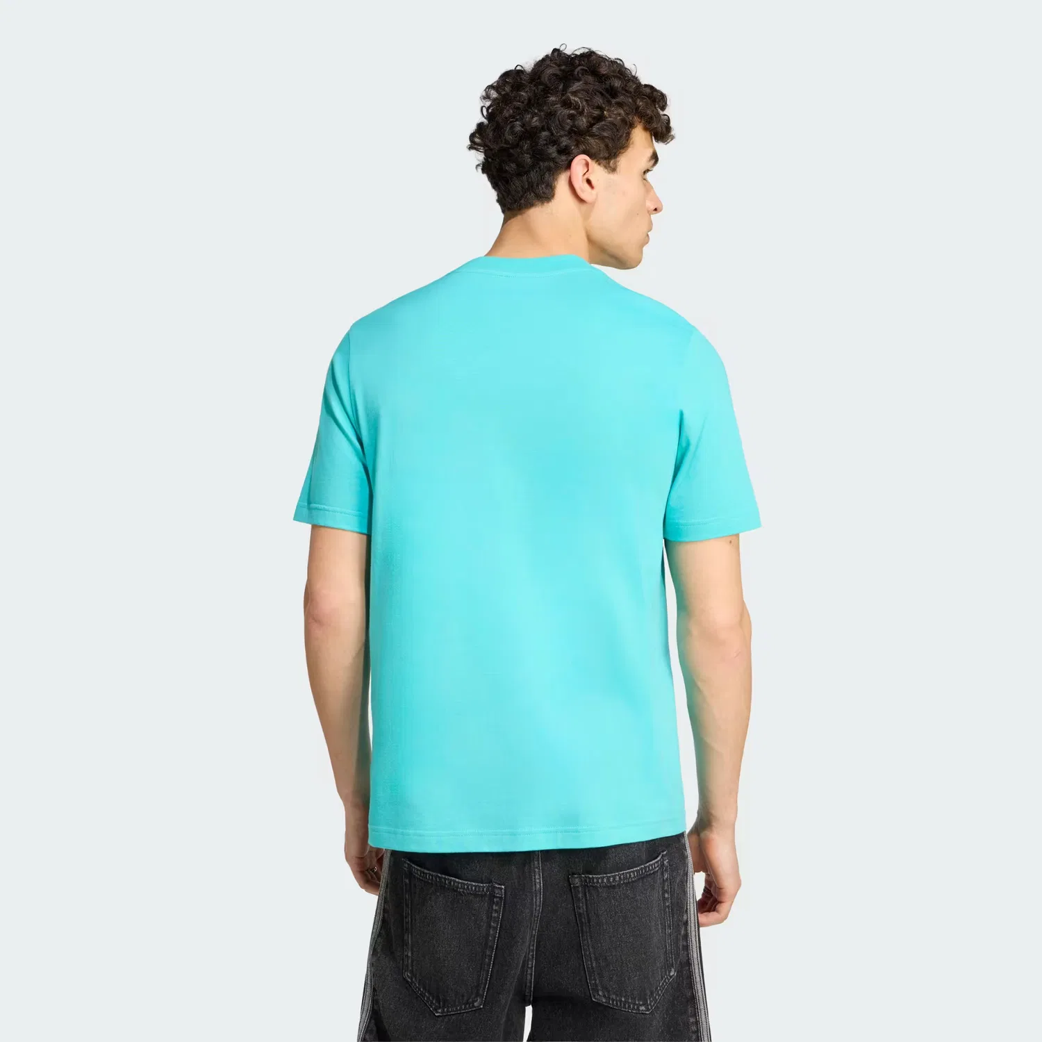 Мужская футболка с принтом болида Mercedes - AMG Petronas Formula 1 Team Graphic Tee Adidas Performance, цвет semi mint rush/black — фото 2