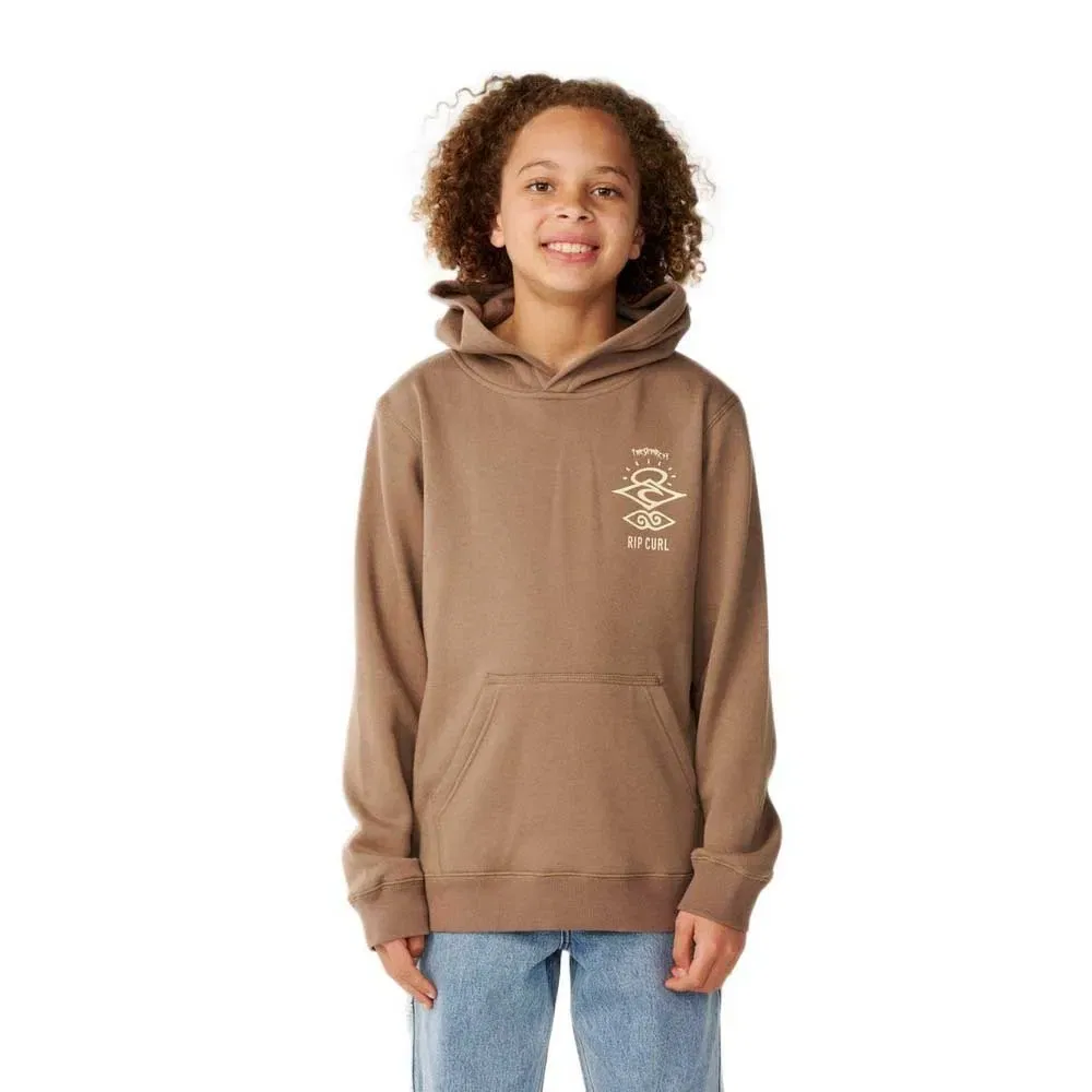 Детское худи для мальчиков с принтом Search Icon Rip curl, Brown