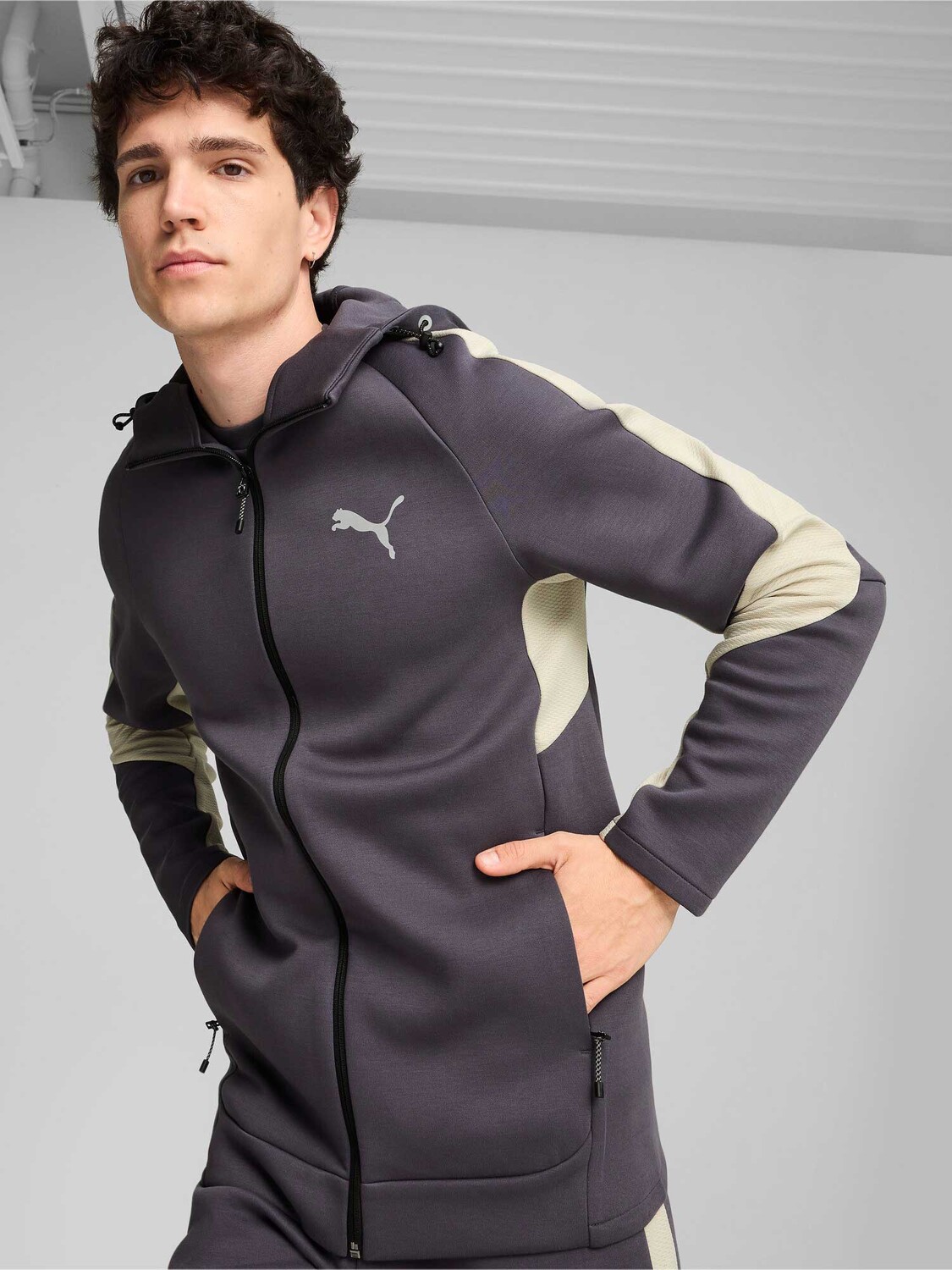 

Толстовка Puma EVOSTRIPE Full-Zip Hoodie DK, серый