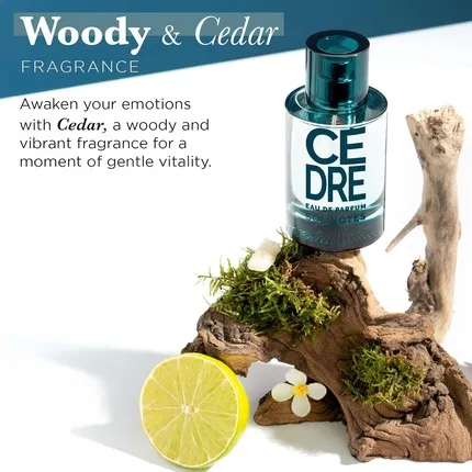 Парфюмерная вода древесная Solinotes Cedarwood, 100 мл