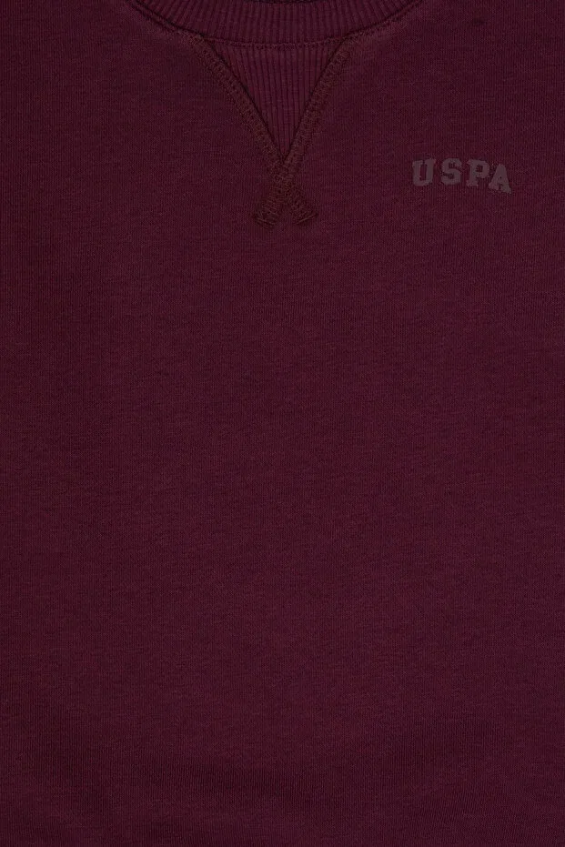 Детские свитшот для мальчиков с длинным рукавом U.S. Polo Assn., Plum — фото 3
