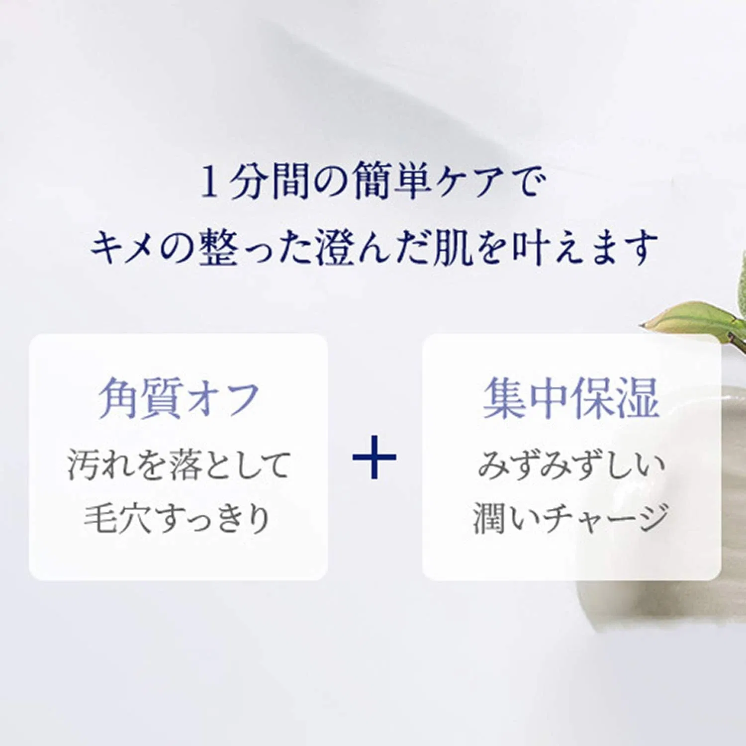 Маска для лица Neal's Yard Remedies — White Tea Facial Mask, 50 г — фото 3