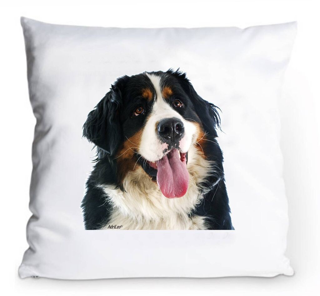 

Чехол на подушку 40x40см - Бернский зенненхунд - Portrait Dog Fun Decoration Dog AdriLeo