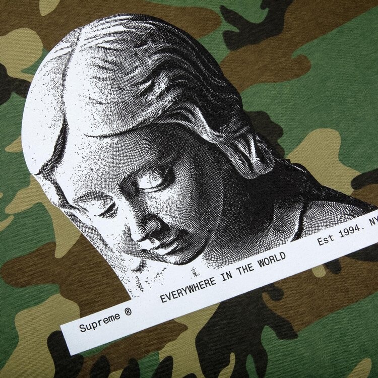 Футболка Supreme Everywhere Tee 'Woodland Camo', разноцветный — фото 3