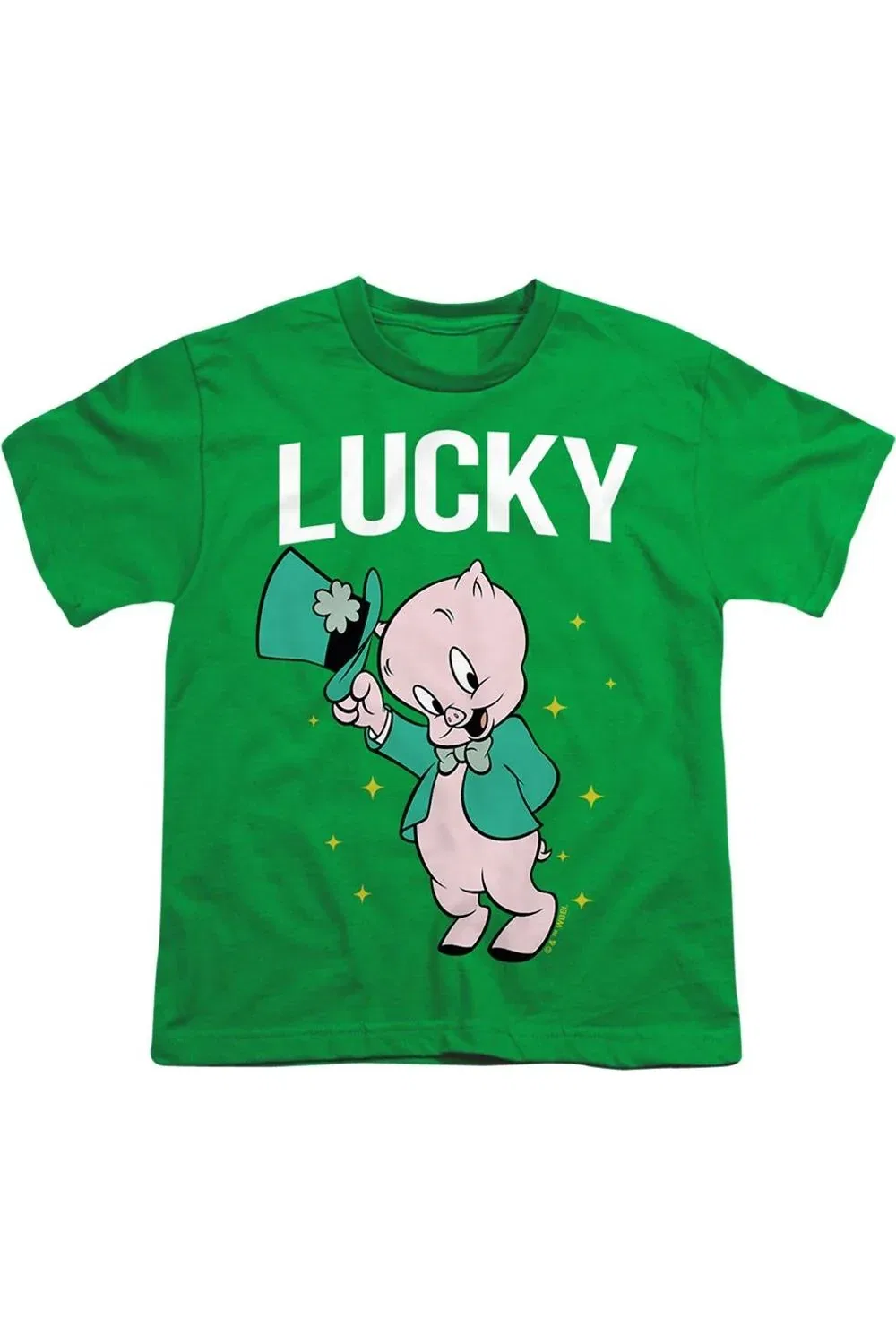 Детская футболка для мальчиков с коротким рукавом и принтом Looney Tunes Porky Pig St. Patrick´s Lucky Gildan, Kelly Green
