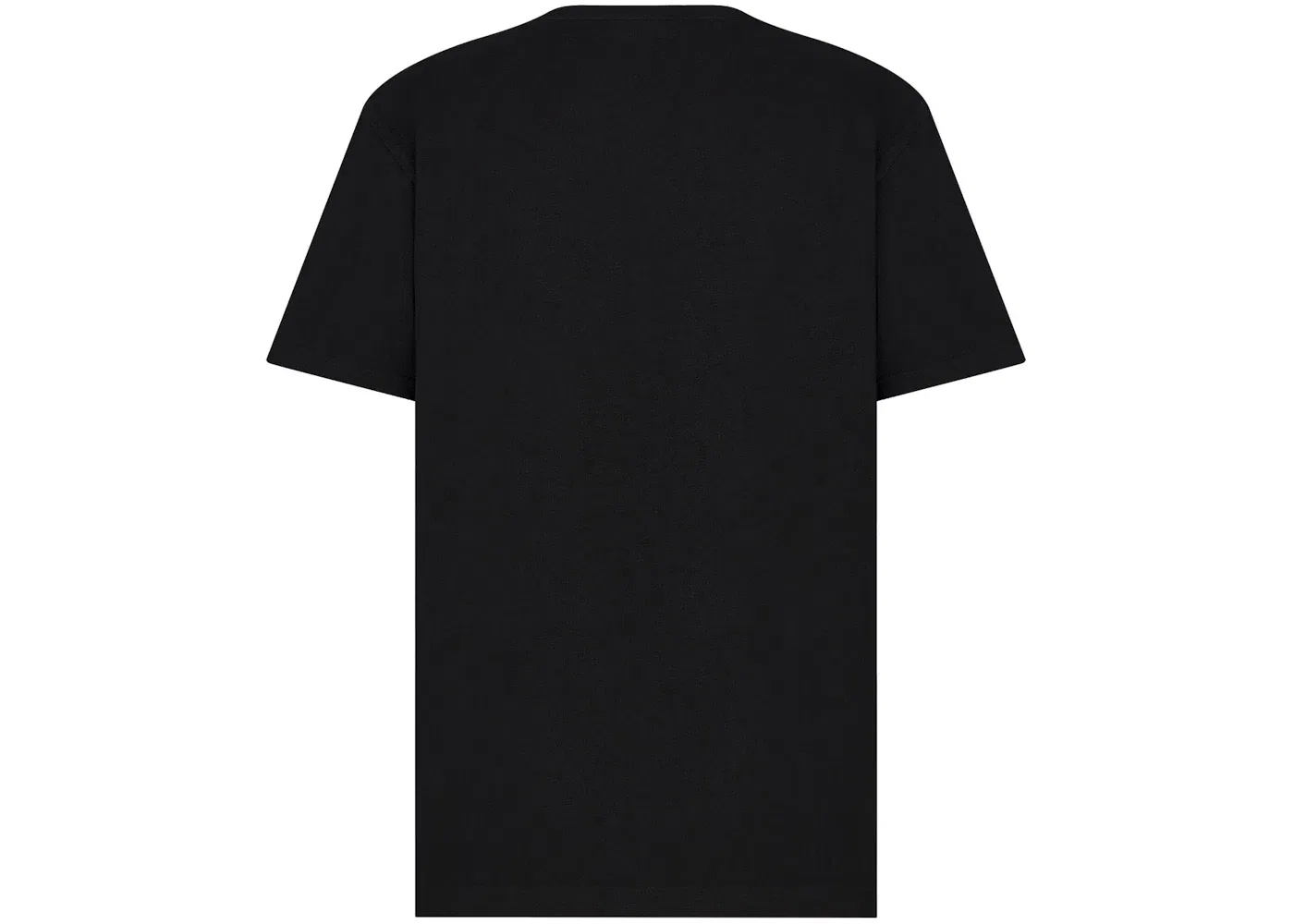 Мужская футболка с принтом Dior T-Shirt Dior, Black — фото 2