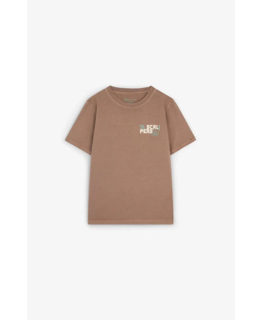 Футболка с принтом Scalpers, Brown