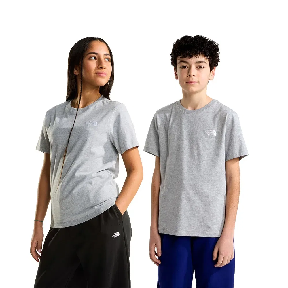 Детская футболка с коротким рукавом Evolution Simple Dome The north face, Grey