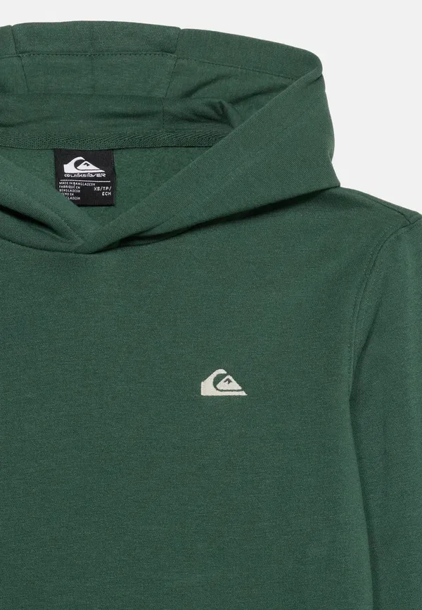 Худи из футера с капюшоном Basic hoodie unisex Quiksilver, Forest — фото 3