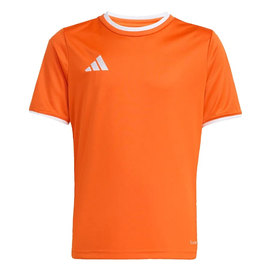 Спортивная футболка ADIDAS PERFORMANCE Performance Shirt 'Entrada26' оранжевого цвета